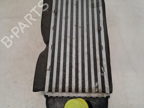 Intercooler FIAT PANDA (312_, 319_) 0.9 (312PXG1A) | BP37394219M30 - Image 2