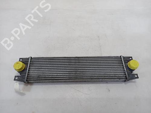 Intercooler Intercooler RENAULT MASTER II Van (FD) 2.8 dTI (FD0C, FD0F, FD2B, FD2F, FD3C, FD3F) (114 hp) 37379802 37379802
