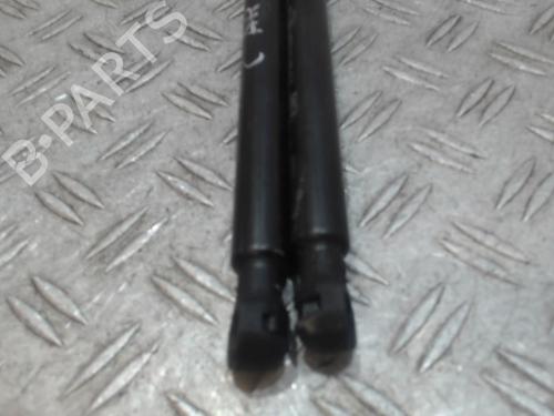 Tailgate lift support CASALINI M14 0.6 | BP37354312C138 - Image 2
