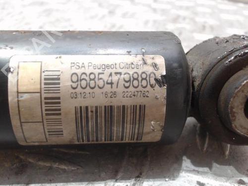 left-rear-shock-absorber-citroen-ds3-sa_-2009-2010-2011-2012-2013-2014-2015-2016-37352408 main image