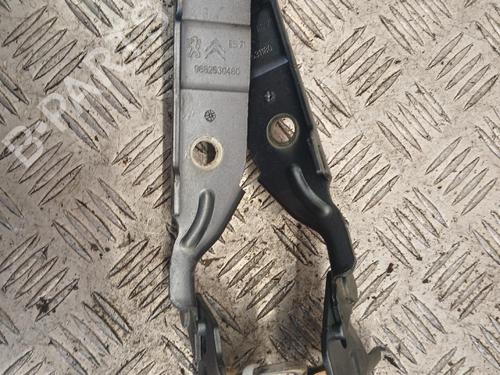hingedoor-check-strap-citroen-c5-iii-rd_-2008-2009-2010-2011-2012-2013-2014-2015-2016-2017-40492814 main image