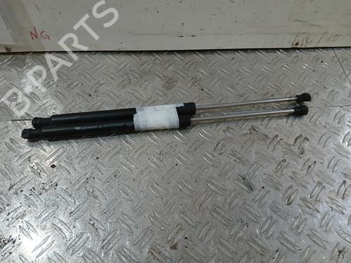 tailgate-lift-support-renault-clio-iii-br01-cr01-2005-2006-2007-2008-2009-2010-2011-2012-2013-2014-37362636 main image