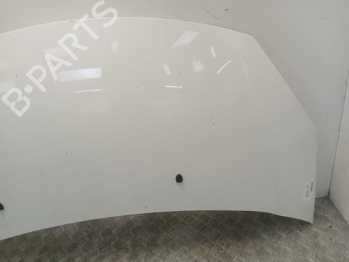 hood-citroen-c3-ii-sc_-2009-37369059 main image
