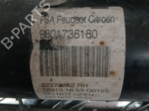 Right front shock absorber CITROËN C3 II (SC_) 1.6 HDi | BP37367211M17 - Image 3