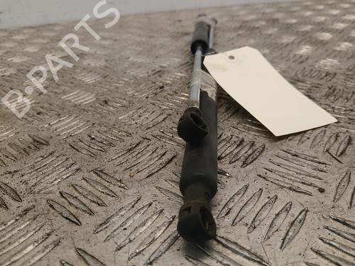 tailgate-lift-support-renault-clio-iii-br01-cr01-2005-2006-2007-2008-2009-2010-2011-2012-2013-2014-39520070 main image