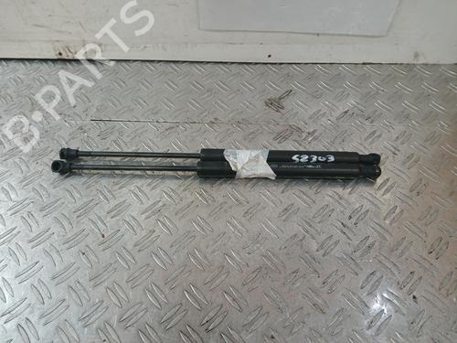 tailgate-lift-support-citroen-ds3-sa_-2009-2010-2011-2012-2013-2014-2015-2016-37363214 main image