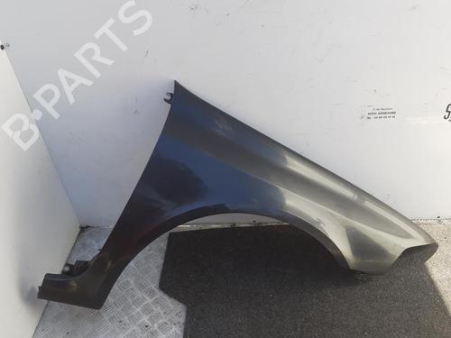 right-front-fenders-renault-laguna-ii-bg01_-2001-2002-2003-2004-2005-2006-2007-37355879 main image