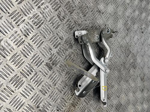 hingedoor-check-strap-ford-fiesta-vi-cb1-ccn-2008-39551987 main image