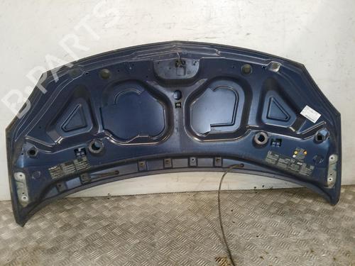 Motorhjelm Motorhjelm RENAULT TWINGO II (CN0_) [2007-2026] 37451956 37451956