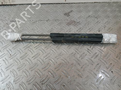 tailgate-lift-support-dacia-duster-hs_-2010-2011-2012-2013-2014-2015-2016-2017-2018-37364604 main image