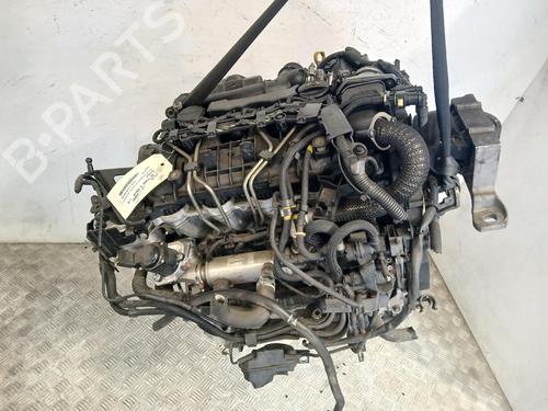 Engine VOLVO V50 (545) 1.6 D | BP37374975M1 - Image 7