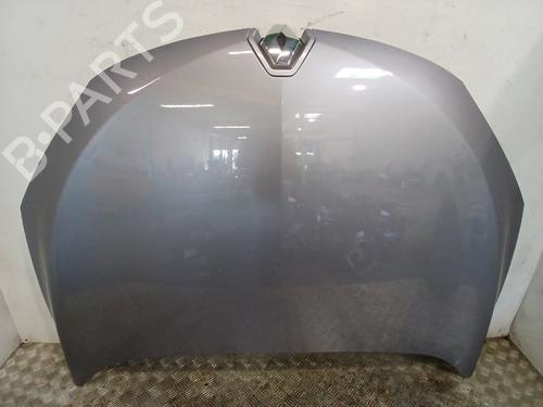 hood-renault-megane-iii-hatchback-bz01_-b3_-2008-37371122 main image