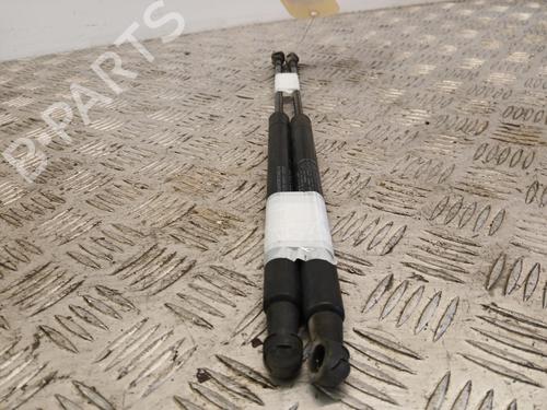 tailgate-lift-support-fiat-punto-evo-199_-2008-38424051 main image