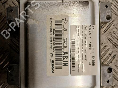 Used Engine control unit (ECU) Engine control unit (ECU) OPEL MOKKA / MOKKA X (J13) 1.4 4x4 (_76) (140 hp) 40202736 40202736