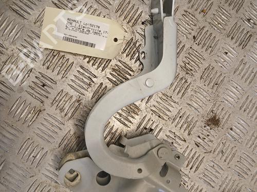 Hinge/Door check strap RENAULT ZOE (BFM_) ZOE | BP37375047C146 - Image 3