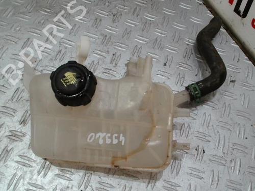 expansion-tank-renault-megane-iii-hatchback-bz01_-b3_-2008-37357705 main image