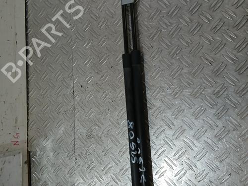 tailgate-lift-support-renault-scenic-iii-jz01_-2008-2009-2010-2011-2012-2013-2014-2015-2016-37364278 main image
