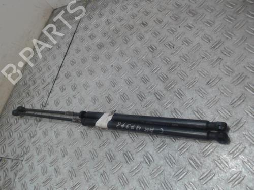 Tailgate lift support CASALINI M14 0.6 | BP37354312C138 - Image 3