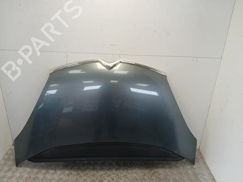 hood-citroen-c4-picasso-i-mpv-ud_-2006-2007-2008-2009-2010-2011-2012-2013-2014-2015-37367318 main image