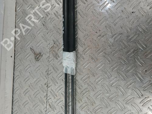 tailgate-lift-support-dacia-sandero-ii-2012-37362987 main image