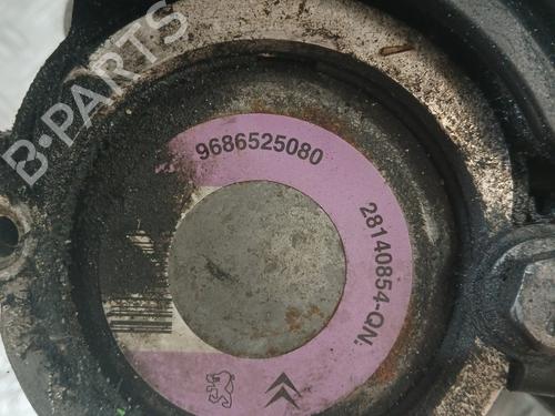 Steering pump PEUGEOT 206+ (2L_, 2M_) 1.1 | BP37363125M99 - Image 3