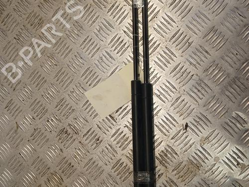 tailgate-lift-support-renault-scenic-ii-jm01_-2003-2004-2005-2006-2007-2008-2009-2010-37367245 main image