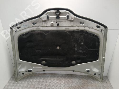 hood-renault-laguna-ii-bg01_-2001-2002-2003-2004-2005-2006-2007-37368337 main image