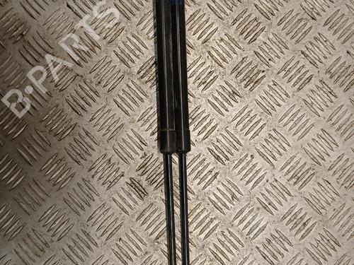 tailgate-lift-support-nissan-qashqai-ii-j11-j11_-2013-40202840 main image