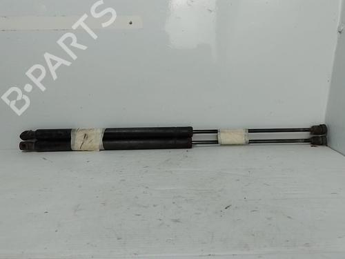 tailgate-lift-support-ford-s-max-wa6-2006-2007-2008-2009-2010-2011-2012-2013-2014-37311907 main image