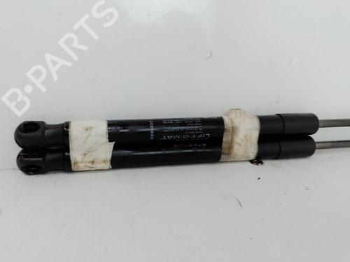 tailgate-lift-support-dacia-duster-hs_-2010-2011-2012-2013-2014-2015-2016-2017-2018-37323292 main image