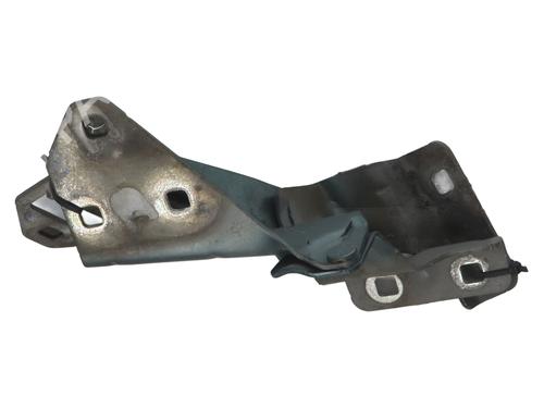 hingedoor-check-strap-renault-megane-ii-estate-km01_-2003-2004-2005-2006-2007-2008-2009-2010-2011-2012-37344182 main image