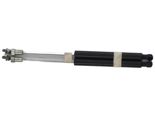 tailgate-lift-support-citroen-c5-iii-rd_-2008-2009-2010-2011-2012-2013-2014-2015-2016-2017-37335719 main image