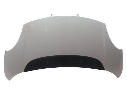 hood-fiat-500l-351_-352_-2012-37342028 main image