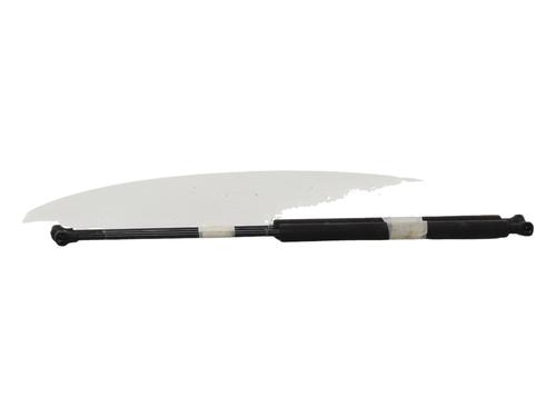 Used Tailgate lift support Tailgate lift support PEUGEOT 206 Hatchback (2A/C) 1.9 D (69 hp) 40219988 40219988
