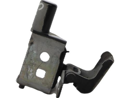 hingedoor-check-strap-renault-modus-grand-modus-fjp0_-2004-39479046 main image