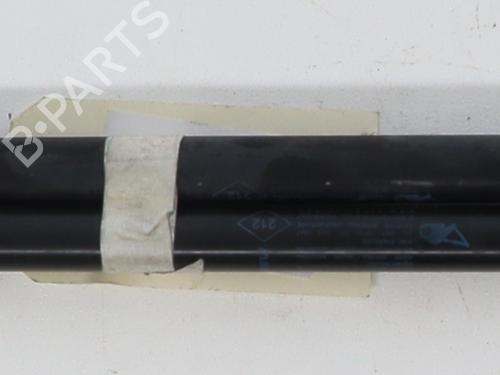 Tailgate lift support DACIA SANDERO | BP37330580C138 - Image 3