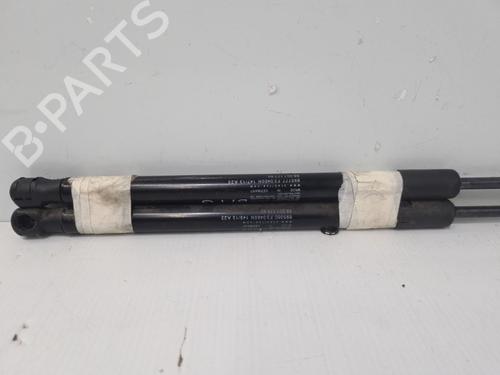tailgate-lift-support-citroen-c4-ii-nc_-2009-37322725 main image