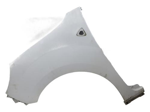 forskrm-venstre-renault-kangoo-express-fw01_-2008-37616250 main image