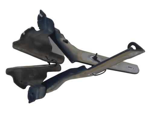 hingedoor-check-strap-citroen-c4-i-lc_-2004-2005-2006-2007-2008-2009-2010-2011-2012-2013-2014-37345043 main image