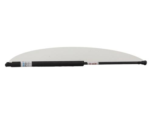 Used Tailgate lift support Tailgate lift support CITROËN XSARA PICASSO (N68) 2.0 HDi (90 hp) 40220008 40220008