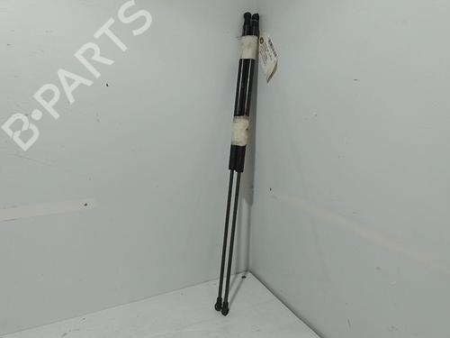 tailgate-lift-support-nissan-juke-f15-2010-2011-2012-2013-2014-2015-2016-2017-2018-2019-37312642 main image