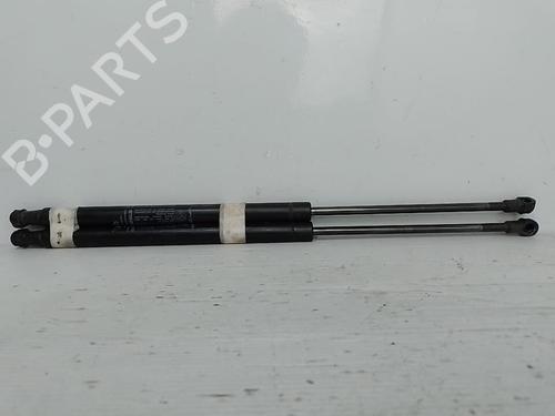tailgate-lift-support-fiat-500-312_-2007-37314063 main image