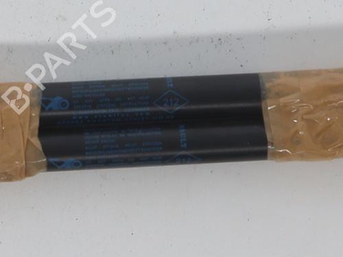 Tailgate lift support DACIA SANDERO | BP37338488C138 - Image 3