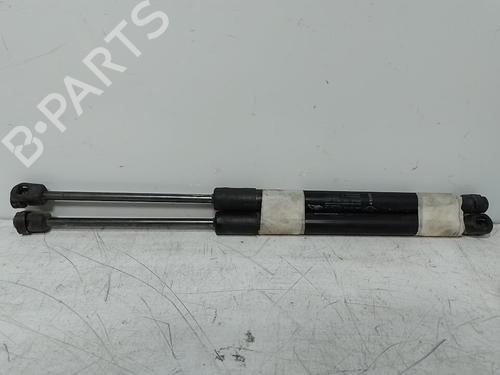 tailgate-lift-support-dacia-duster-hs_-2010-2011-2012-2013-2014-2015-2016-2017-2018-37310759 main image