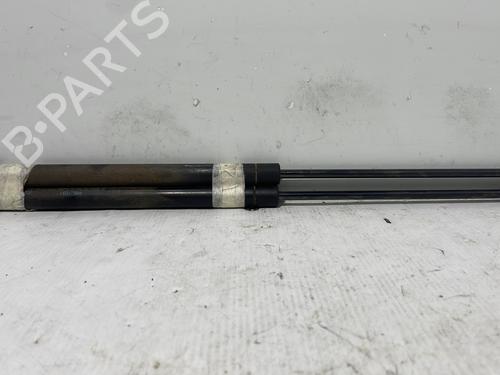 tailgate-lift-support-fiat-panda-169_-2003-37324852 main image