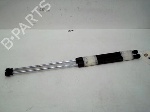 tailgate-lift-support-renault-laguna-coupe-dt01-2008-2009-2010-2011-2012-2013-2014-2015-37310353 main image