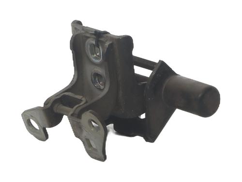 hingedoor-check-strap-renault-clio-iii-br01-cr01-2005-2006-2007-2008-2009-2010-2011-2012-2013-2014-37341801 main image