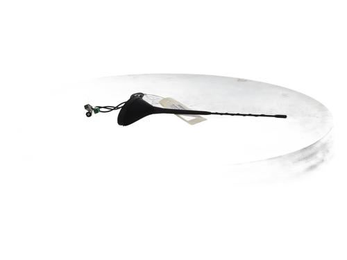 Antenne/Base Antenne/Base PEUGEOT 3008 I MPV (0U_) 1.6 HDi (112 hp) 37330061 37330061