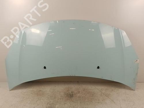 hood-citroen-c3-ii-sc_-2009-37620047 main image