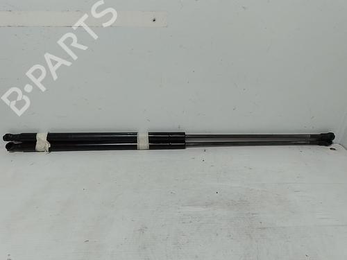 tailgate-lift-support-nissan-juke-f15-2010-2011-2012-2013-2014-2015-2016-2017-2018-2019-37311456 main image